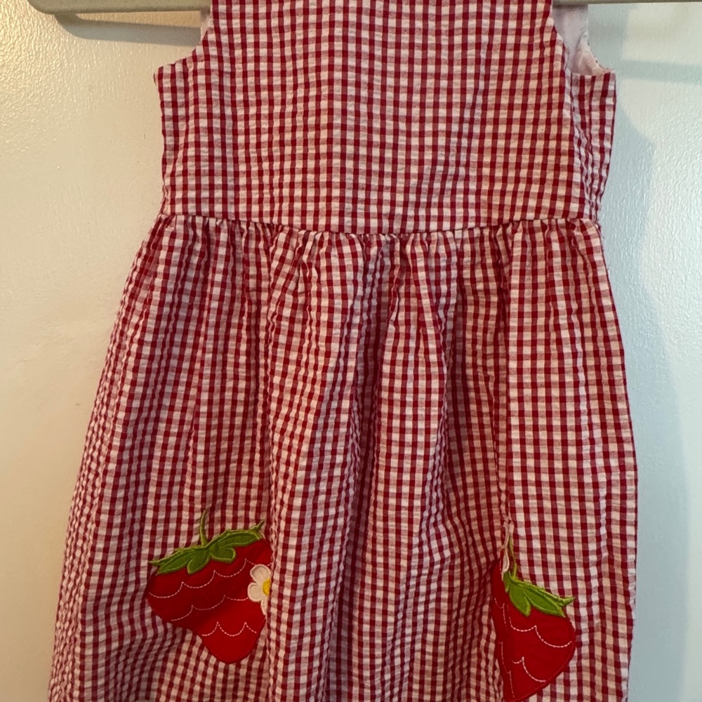 Red Gingham Dress with Strawberry Patches